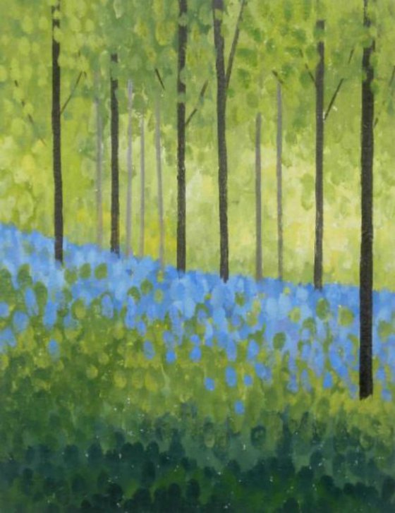 Bluebells 3