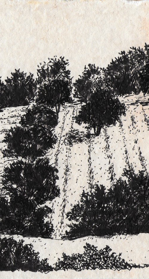 Aegean / Shaded Field by Gozde Temiz Istanbul