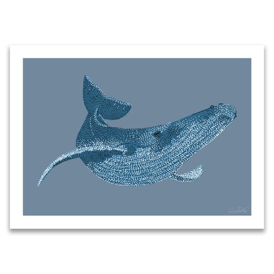 Humpback Whale - Stippling Illustration