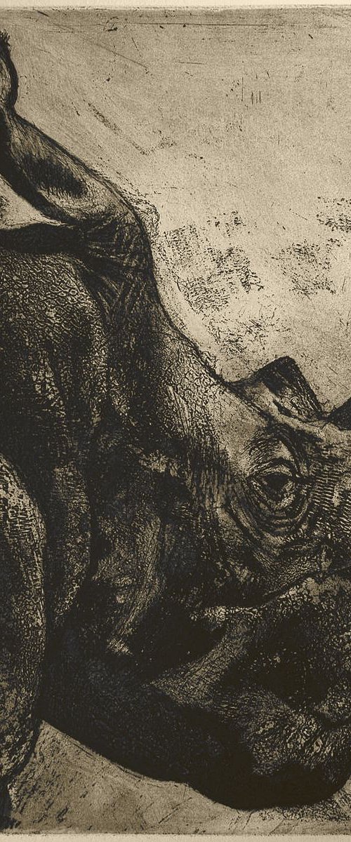 African White Rhino Etching by Isabel Hutchison