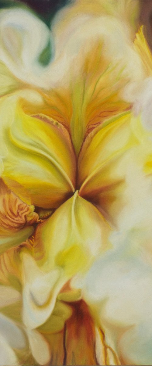 Intimacy by Anita Nowinska