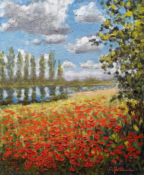 Poppy field by the river