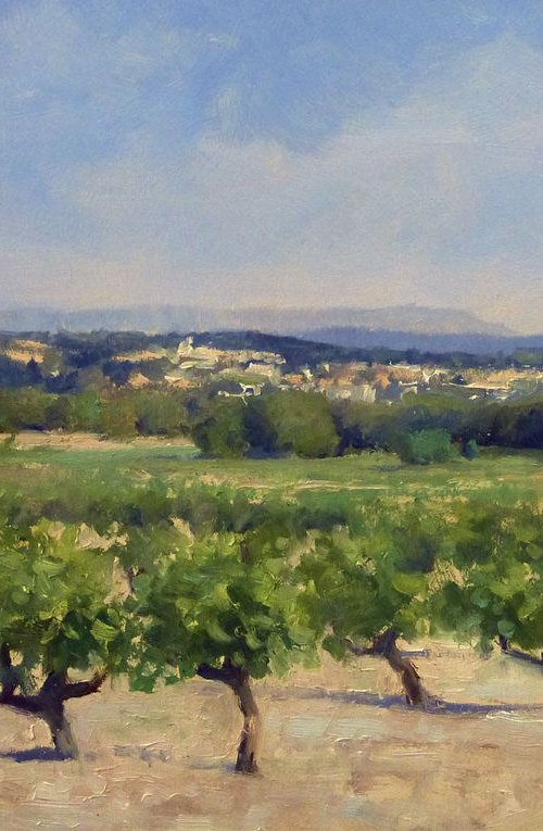 Vineyards near Flassan by Pascal Giroud