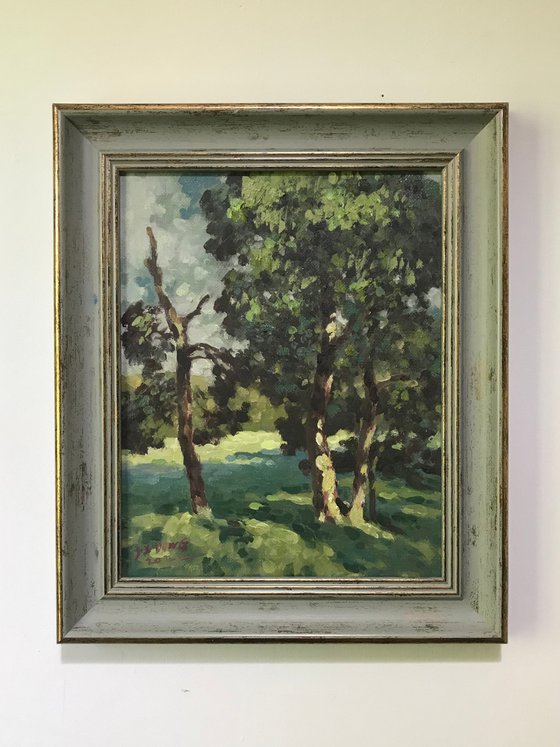 Sunshine in the Woods