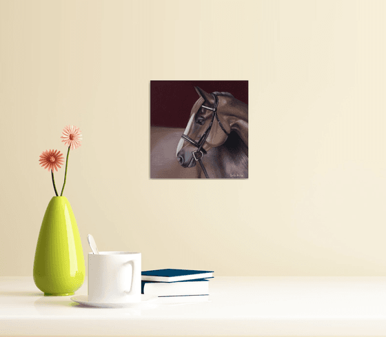 horse portrait 43