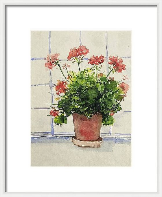 Geraniums by the window