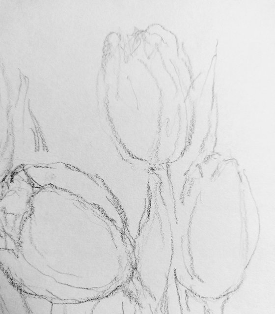 Tulipes #8. Original pencil drawing.