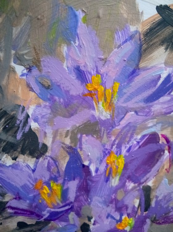 Crocuses #1