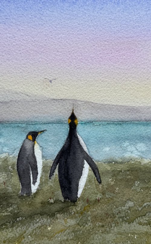 King penguins at Punta Arenas by Shelly Du