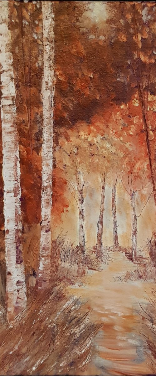 Pathway through Birches by Michele Wallington