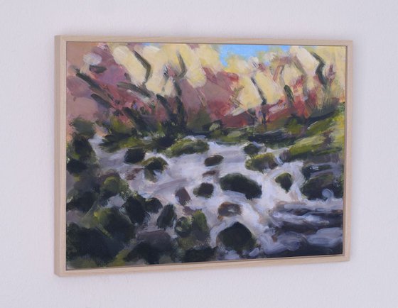 Dartmoor - River Dart No2