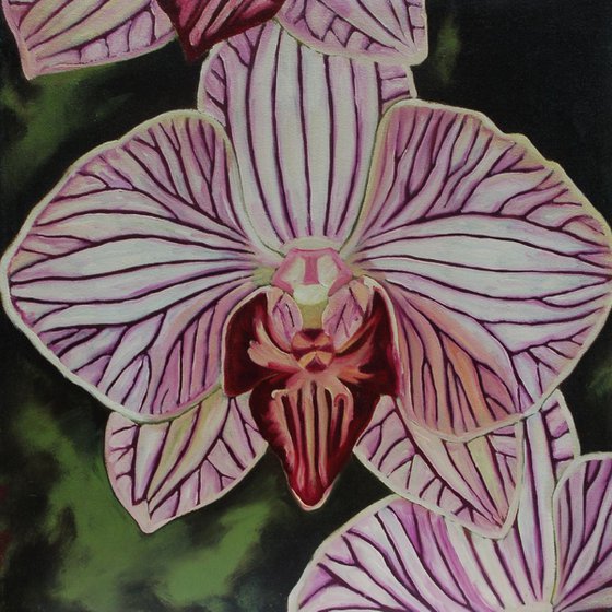 "Leopard Prince Orchid II"