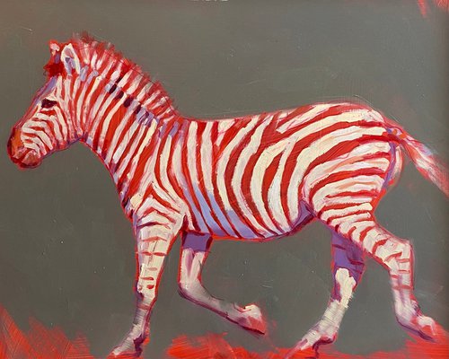 Zebra trotting by Catherine Ingleby