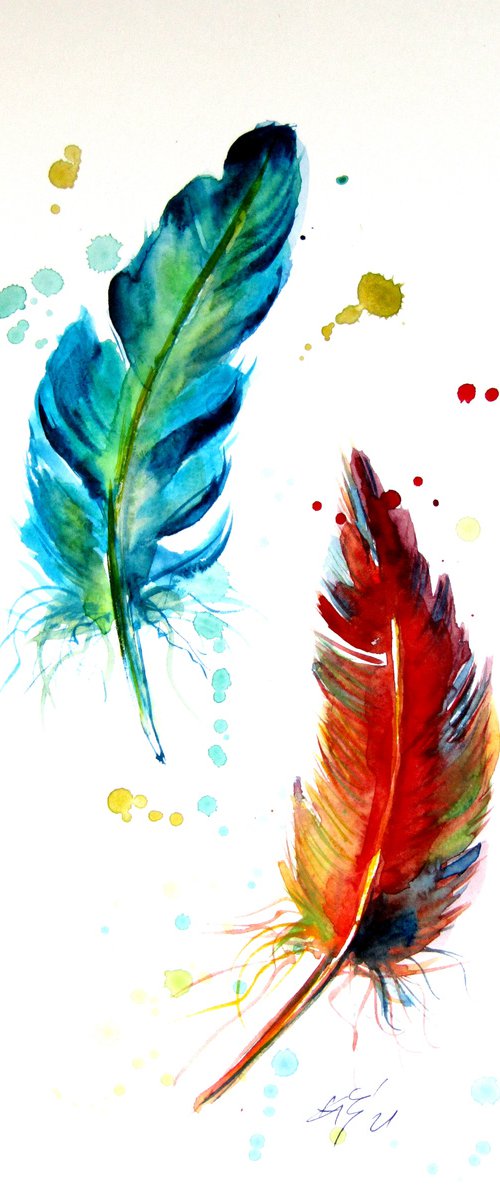 Colorful feathers by Kovács Anna Brigitta