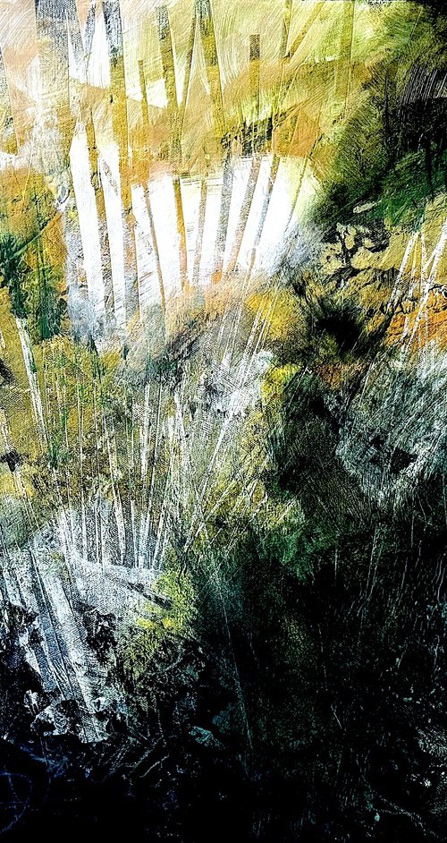 SHIFTING LIGHT by Marijean Harris