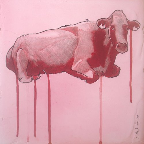 Cow by Ricardo Machado
