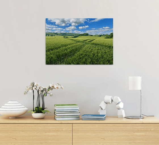 Sea of Wheat