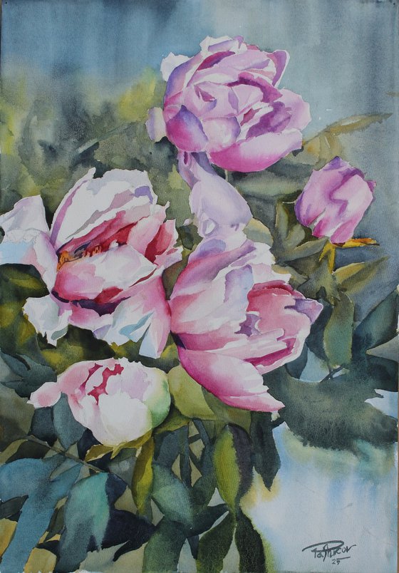PINK PEONIES#5