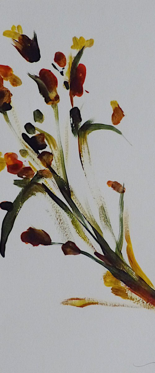 Exquisite Flowers 5, 24x18 cm by Frederic Belaubre