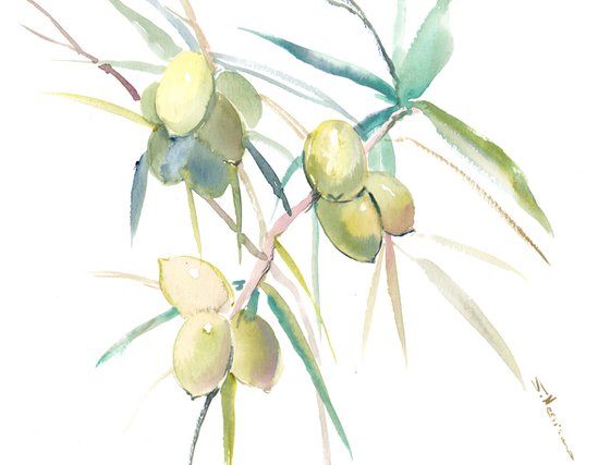 Olives