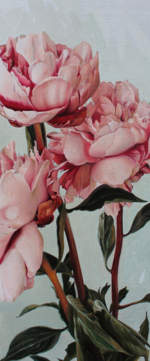 Bouquet of pink peonies by Julia Diven