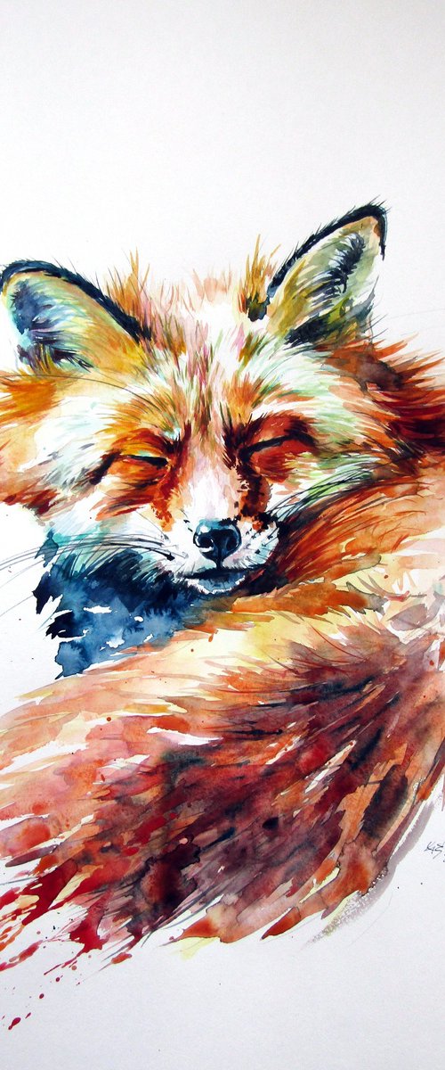 Sleeping red fox by Kovács Anna Brigitta