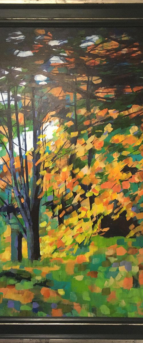 Autumn trees by Stuart Roper