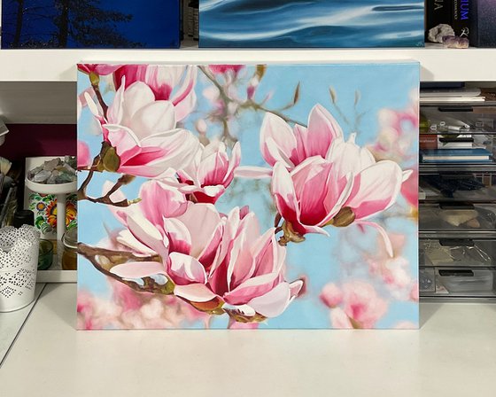Magnolia Flowers