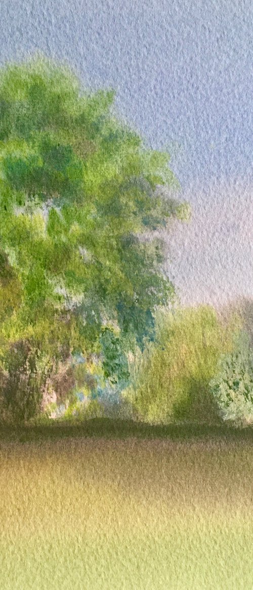 Colours of the trees by Samantha Adams