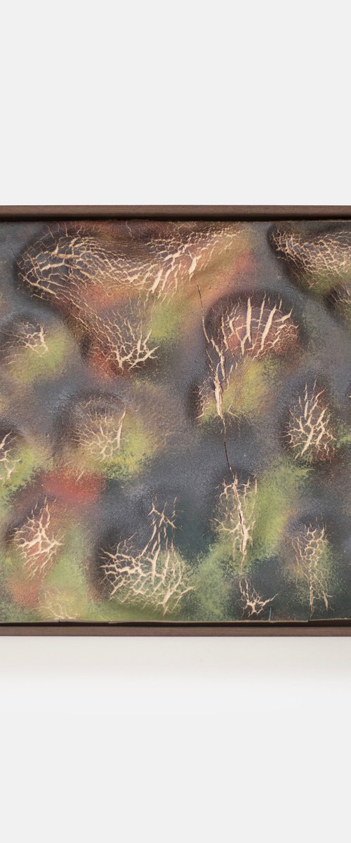 Terra Cognita. Soil Horizon 01 by Maryia Virshych