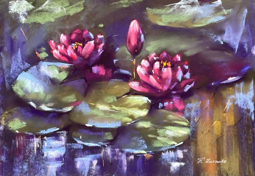 Pond lilies by Ksenia Lutsenko