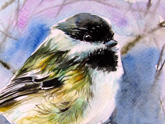 Great tit