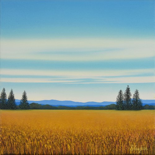 Summer Field - Blue Sky by Suzanne Vaughan