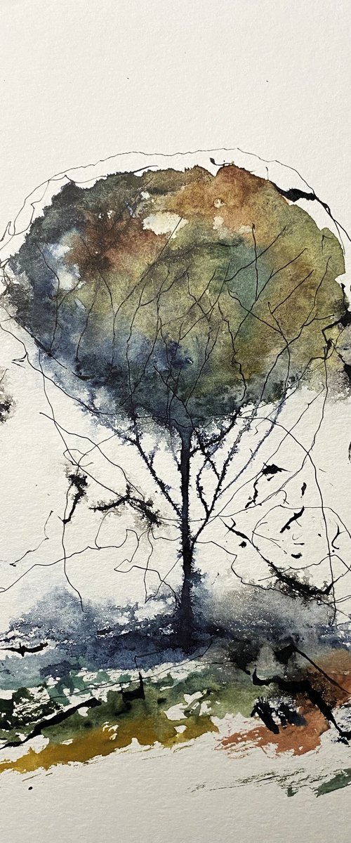 L'alberello by YŪREI