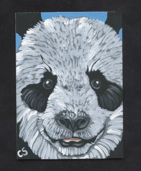 ACEO ATC Original Painting Panda Bear Wildlife Art-Carla Smale