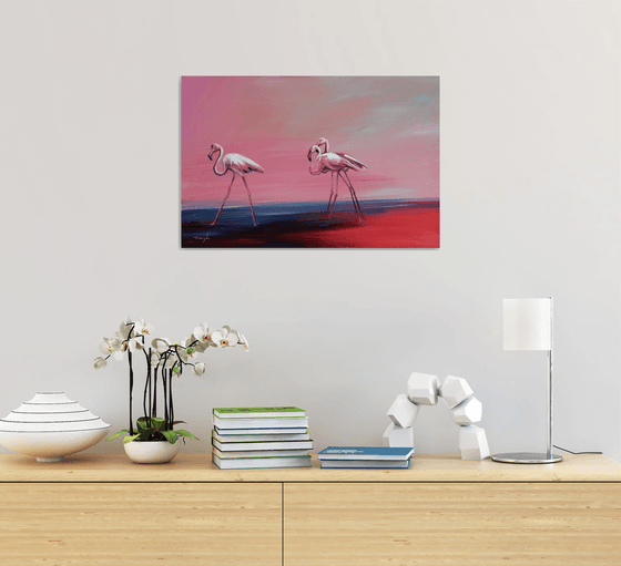 Flamingos. Flamingoes. Fire birds. Morning walking. Landscape. Birds in the Water. Country. Autumn.