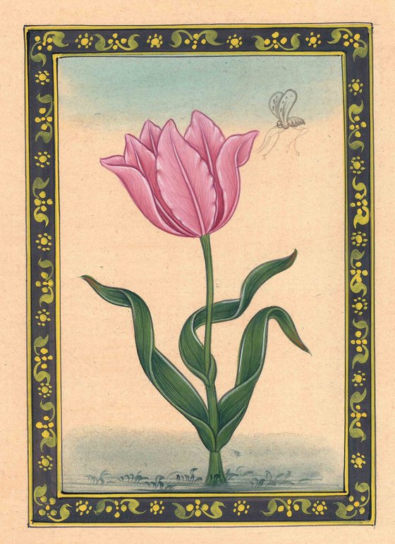 Pink Mughal Tulip | Miniature Painting