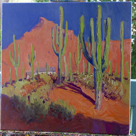 Saguaros in Arizona