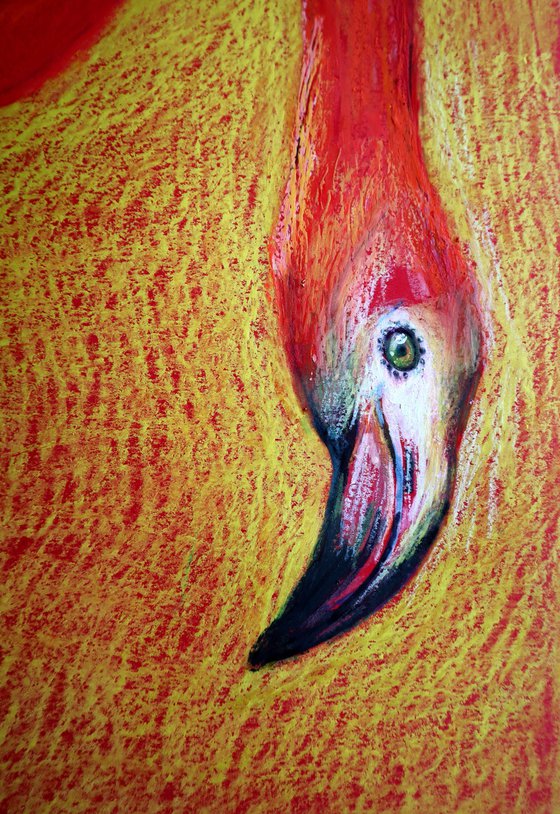 Flamingo on Gold -Blazing Gradient