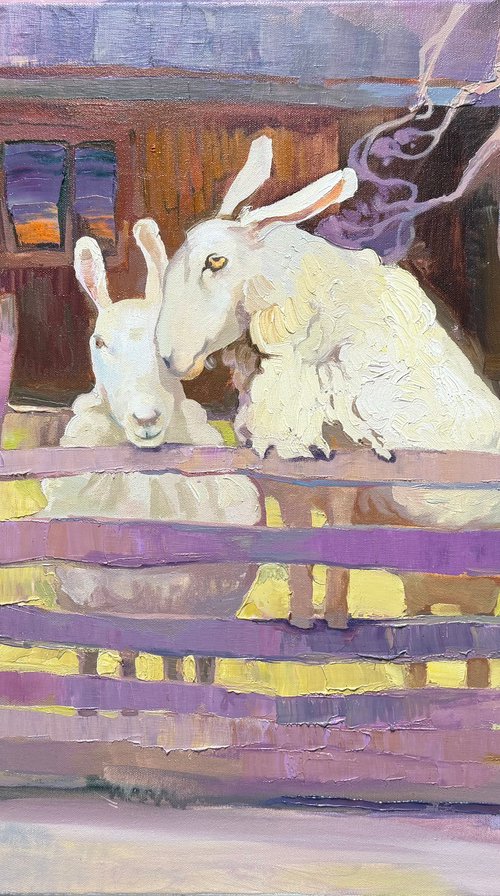 Two by Anastasiia Grygorieva