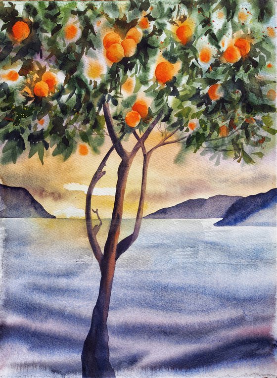 Winter mediterranean sunset with oranges tree