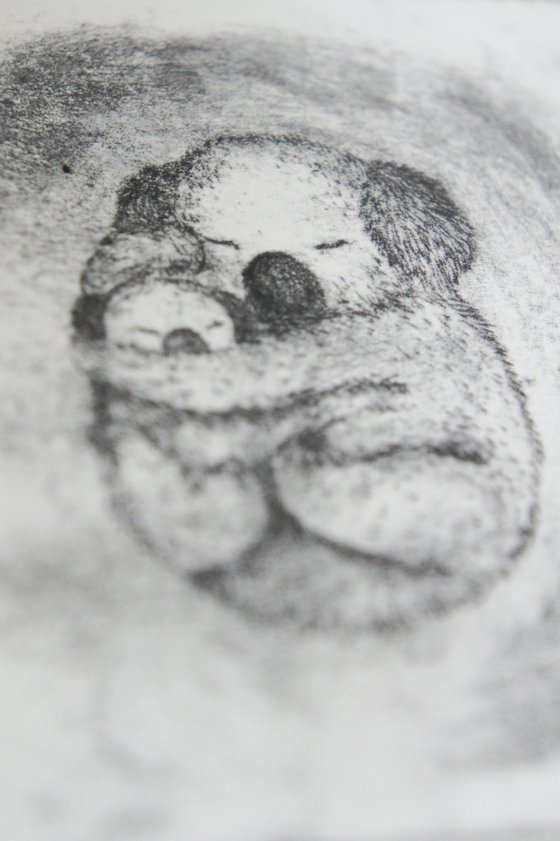 Koala Bear Mother And Baby
