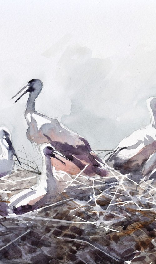 Storks in the nest 2 by Goran Žigolić Watercolors