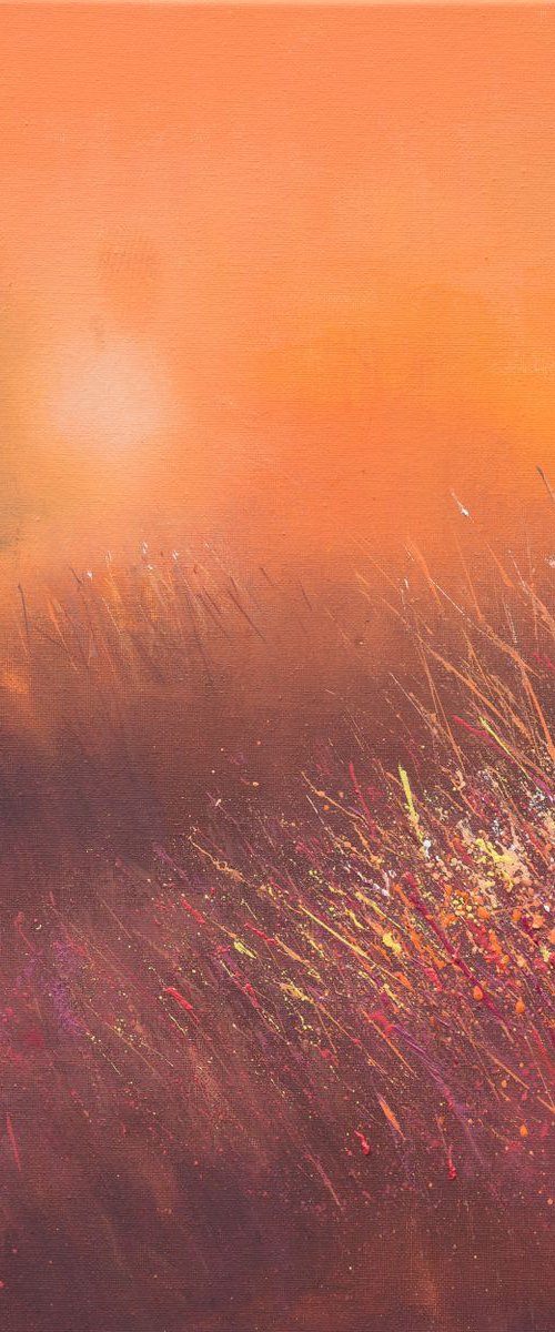 Mellow Amber by Paul Hillary