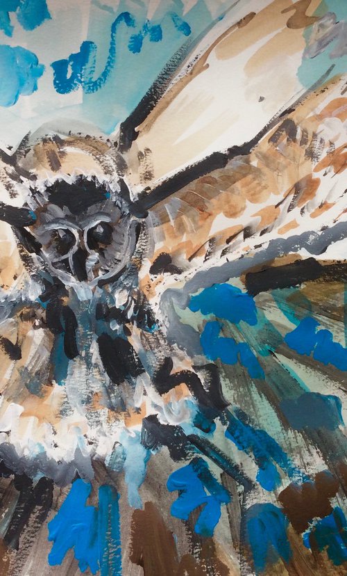 Owl hoot by Jeffery Richards