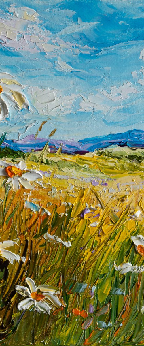 Fields of Light by Vladyslav Durniev
