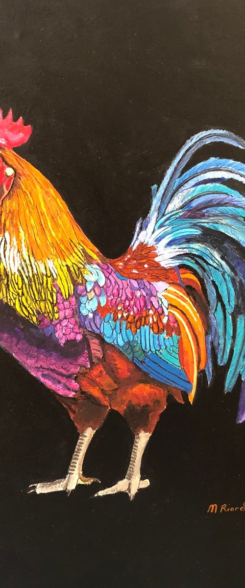 RAINBOW ROOSTER by Margaret Riordan