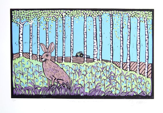 Hare and Bluebells