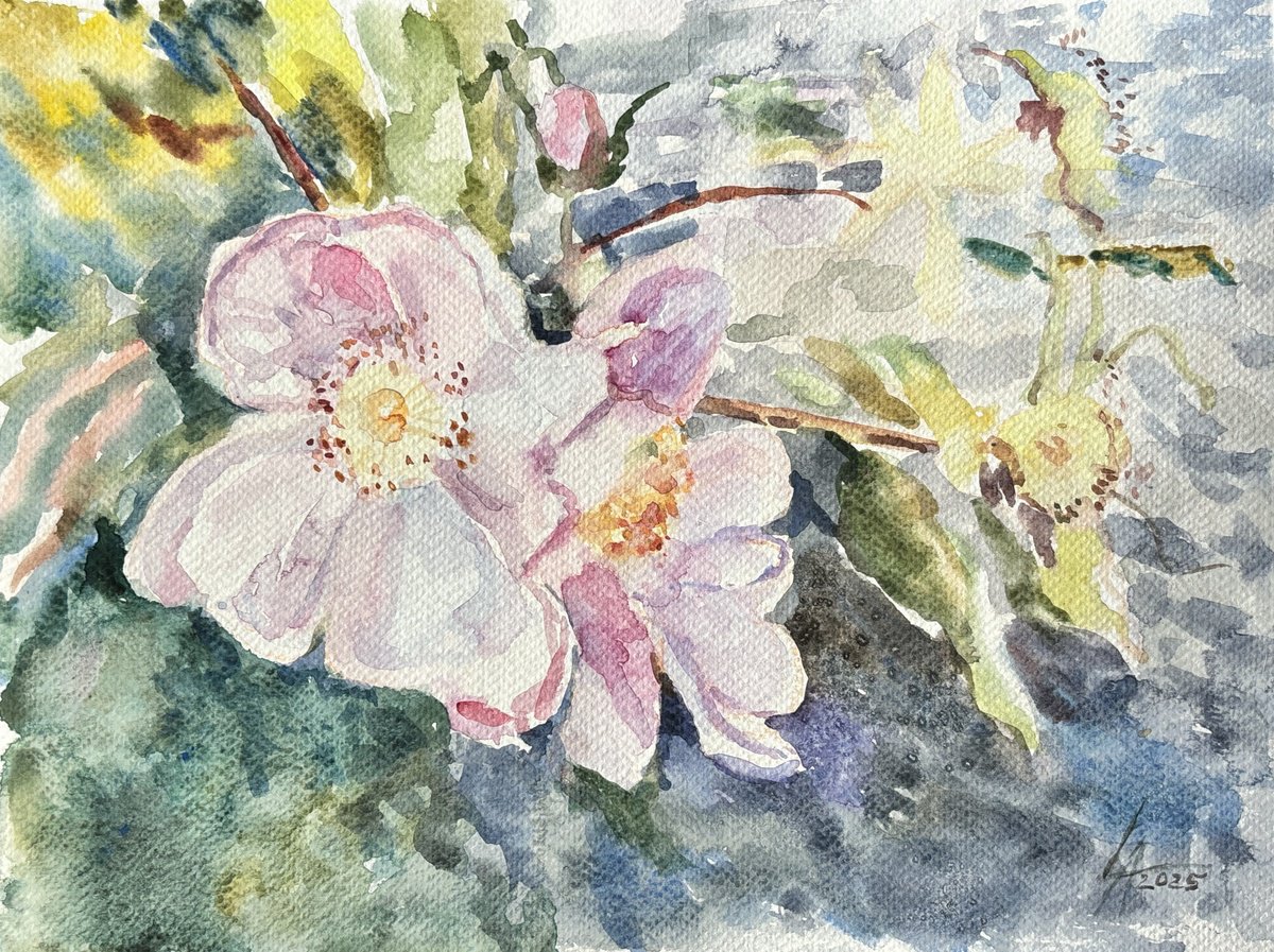 Impressionistic Watercolour , Aquarelle Petals By Elena Lykhodid, 13 X 9, Artwork For Sale On Artfinder