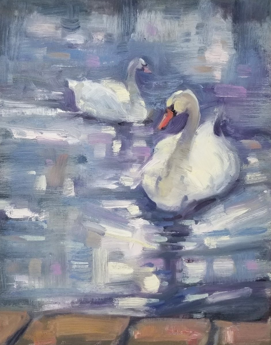 Impressionistic Animal Oil Painting By Kristina Sellers, 11 X 14", Swans Of Hyde Park, Original Artwork